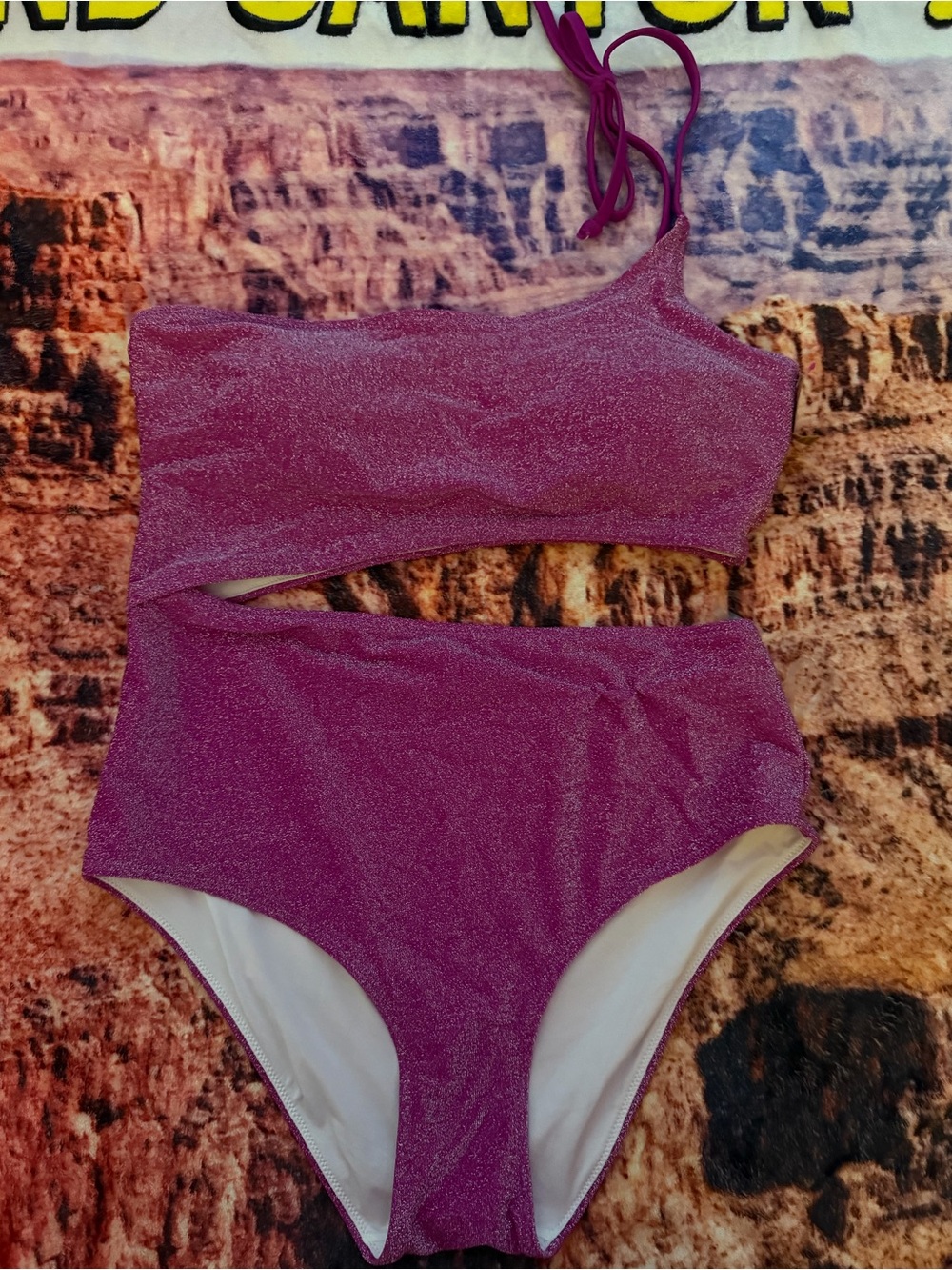 Womens' One-Shoulder Shimmery Pink One-Piece Swimsuit